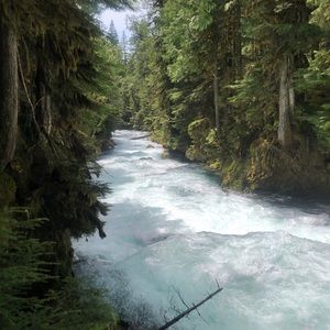 Meet your Posher, Ana